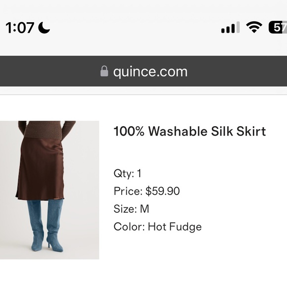 NWOT — Silk Skirt in Rich Brown - Picture 2 of 3